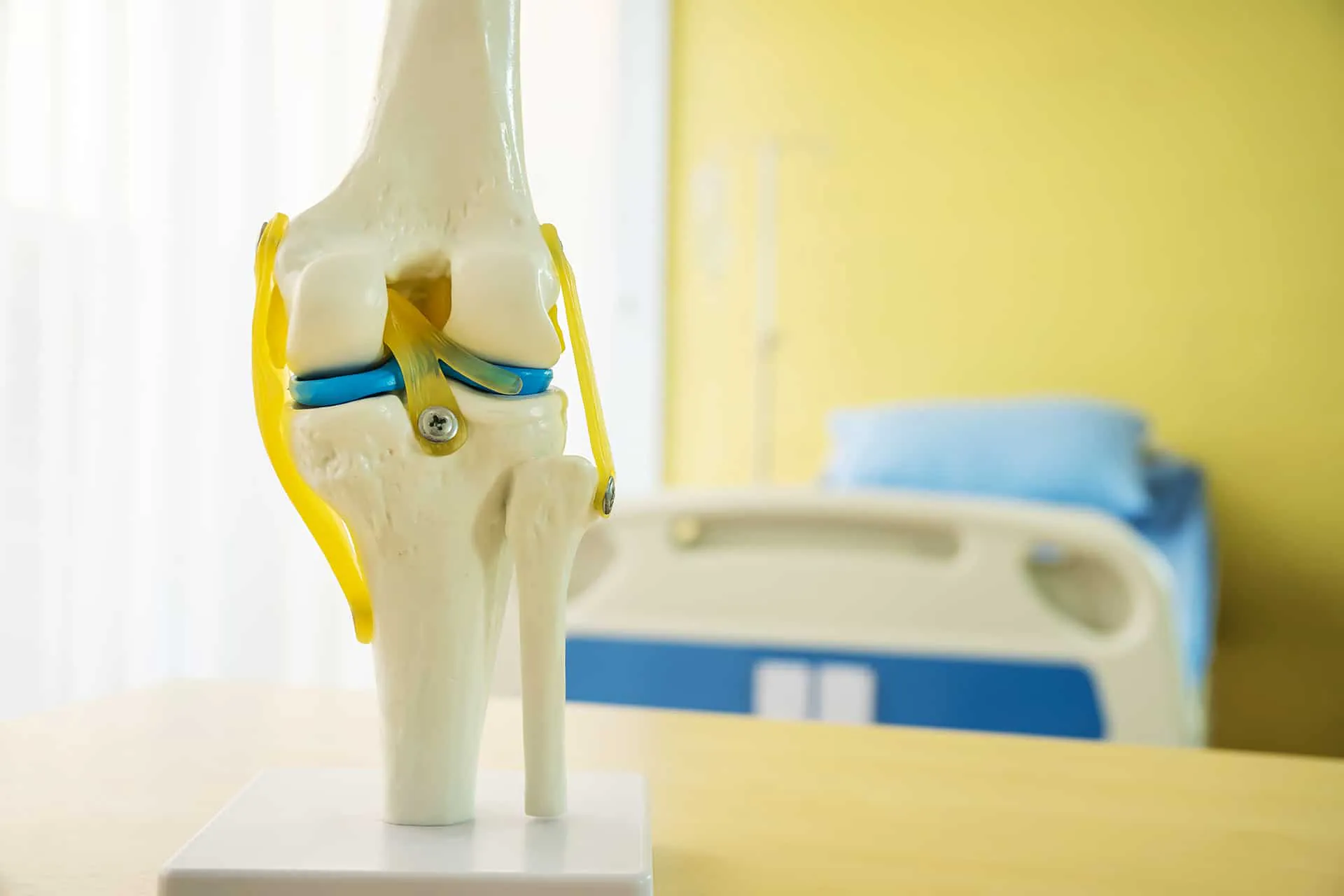 Meniskus Anatomie